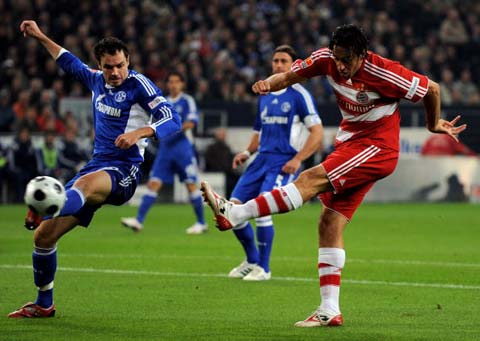 佳的主因 佳的主因